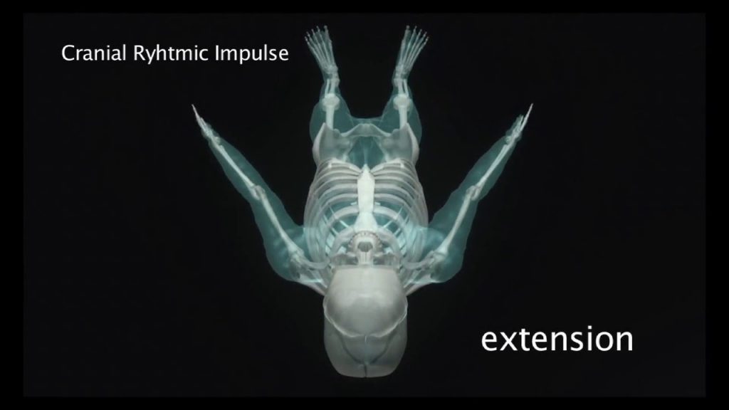 The Cranial Rhythmic Impulse – Lyons Institute Biodynamic Craniosacral ...